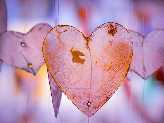 Einfamilienhaus zum Kauf 592.032 € 6 Zimmer 160 m² 486 m² Grundstück Ickern Castrop Rauxel 44577