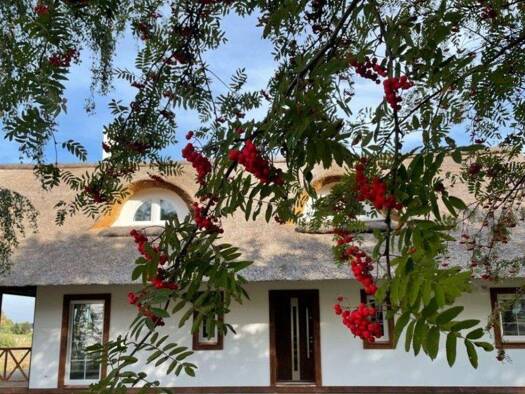 Einfamilienhaus zum Kauf provisionsfrei 435.000 € 4 Zimmer 180 m² 1.590 m² Grundstück Gardna Wielka 76213