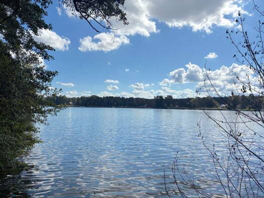 Grundstück zum Kauf 199.000 € 552 m² Grundstück frei ab sofort Zernsdorf Königs Wusterhausen 15712