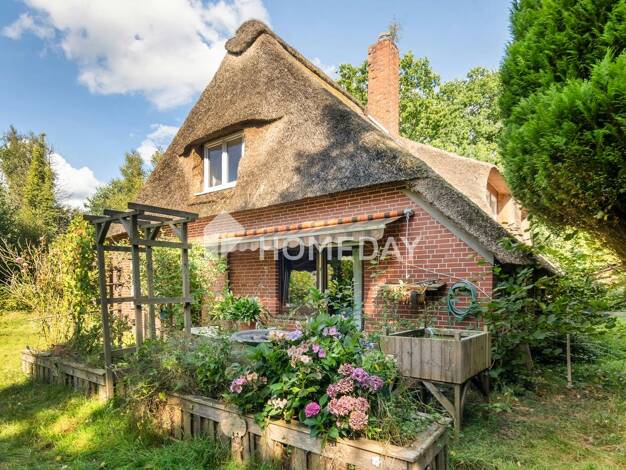 Einfamilienhaus zum Kauf 268.000 € 5 Zimmer 288 m² 1.939 m² Grundstück Vollersode 27729