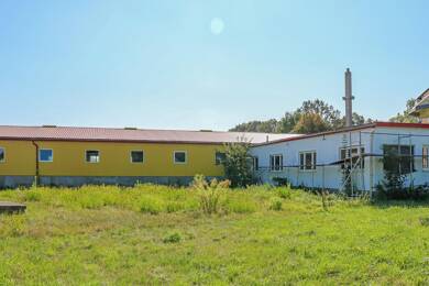 Produktionshalle zur Miete 1.500 € 300 m² Lagerfläche Chemnitzer Straße 18 Flöha Flöha 09557