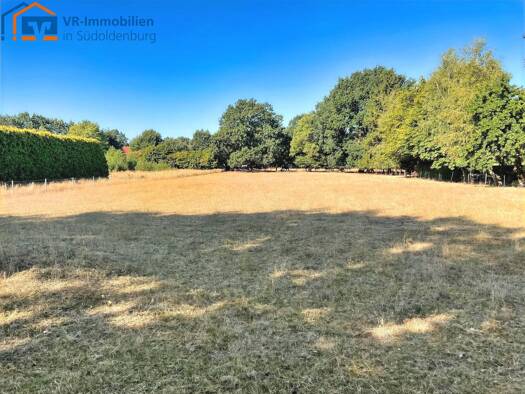 Grundstück zum Kauf 3.934 m² Grundstück Molbergen Molbergen 49696