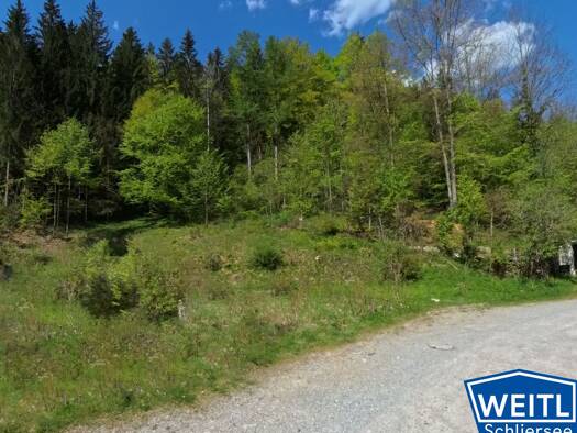 Grundstück zum Kauf provisionsfrei 445.000 € 5.220 m² Grundstück Neuhaus Schliersee 83727