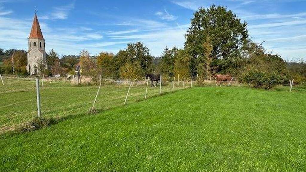 Grundstück zum Kauf 300.000 € 3.171 m² Grundstück Kirchrimbach Burghaslach 96152