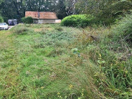 Grundstück zum Kauf 129.000 € 594 m² Grundstück Ostermiething 5121