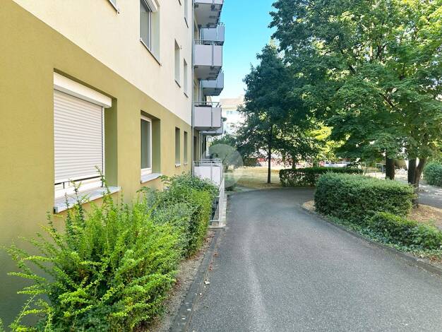 Wohnung zum Kauf 290.000 € 3 Zimmer 60 m² EG Stühlinger West 79106