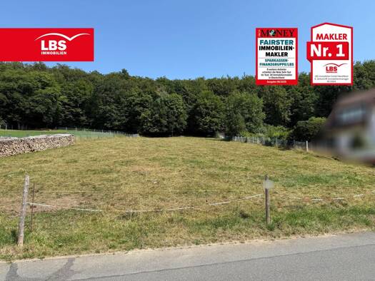 Grundstück zum Kauf 130.000 € 3.008 m² Grundstück frei ab sofort Scharzfeld Herzberg am Harz 37412
