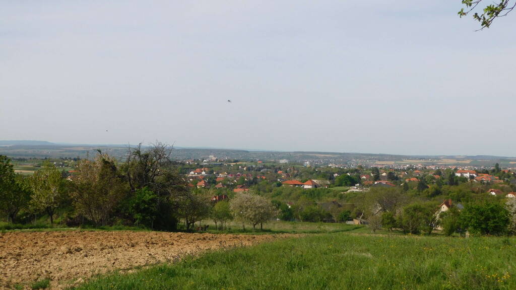 Grundstück zum Kauf 150.000 € 6.925 m² Grundstück Cserszegtomaj 8372