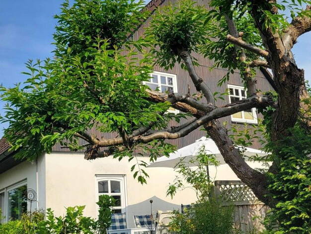 Einfamilienhaus zum Kauf provisionsfrei 430.000 € 6 Zimmer 160 m² 1.093 m² Grundstück Linau 22959
