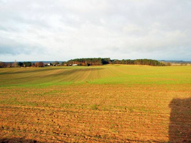 Grundstück zum Kauf provisionsfrei 92.285 € 18.457 m² Grundstück Zirchow 17419