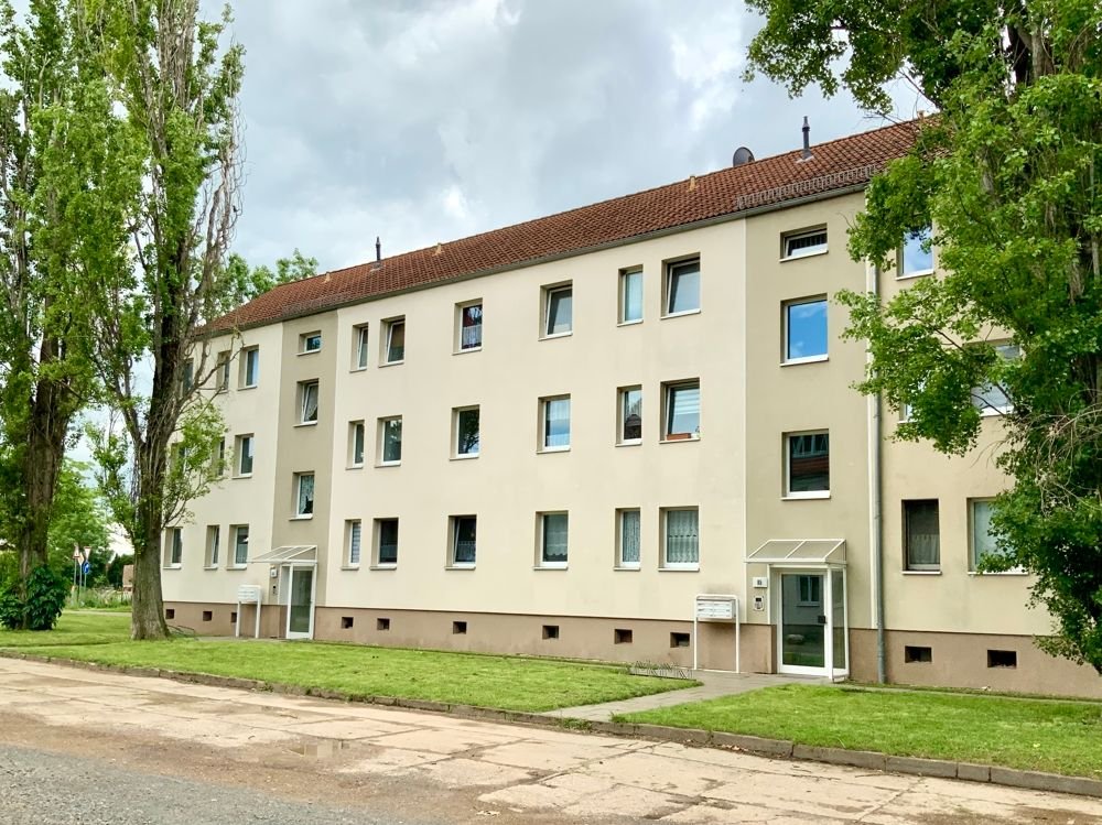 Mehrfamilienhaus zum Kauf 1.500.000 € 96 Zimmer 1.903,1 m²<br/>Wohnfläche 6.171 m²<br/>Grundstück Aschersleben Aschersleben 06449