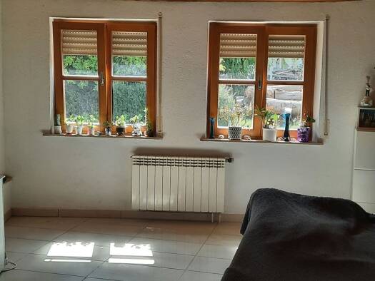 Wohnung zur Miete 550 € 1 Zimmer 50 m² Geschoss EG/2 frei ab 01.10.2026 Trifelsstraße 20 Birkweiler 76831