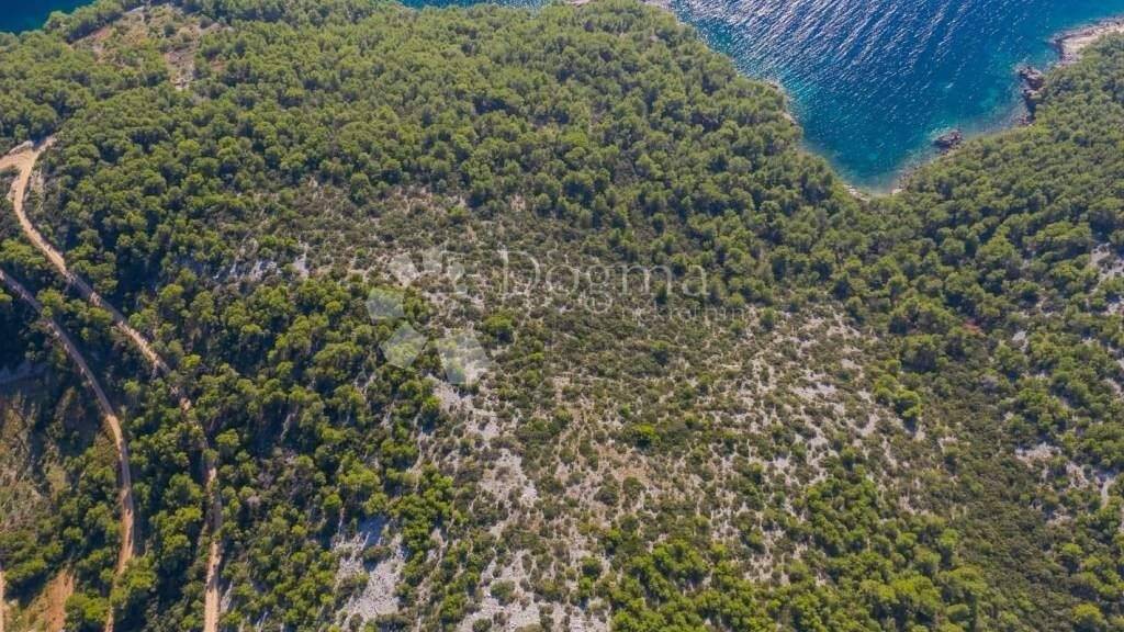 Land-/Forstwirtschaft zum Kauf Jelsa