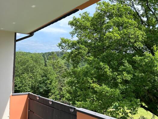 Wohnung zur Miete 1.000 € 4 Zimmer 98,4 m² Reininghausen Gummersbach 51643