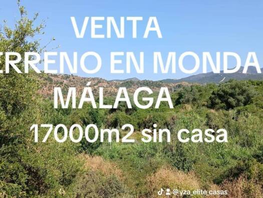 Acker-/Waldstück zum Kauf 120.000 € Monda 29110