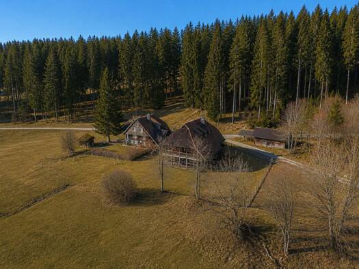 Einfamilienhaus zum Kauf 890.000 € 14 Zimmer 487 m² 3.822 m² Grundstück Schönwald im Schwarzwald 78141