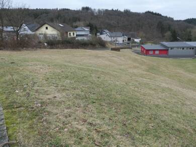 Grundstück zum Kauf 29.500 € 1.081 m² Grundstück Salcherath Retterath 56769