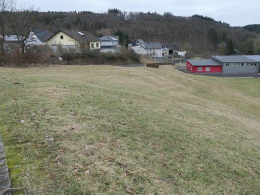Grundstück zum Kauf 29.500 € 1.081 m² Grundstück Salcherath Retterath 56769