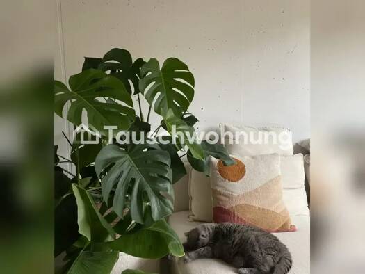 Wohnung zur Miete Tauschwohnung 412 € 1 Zimmer 27 m² 3. Geschoss Centrum Altstadt 48143