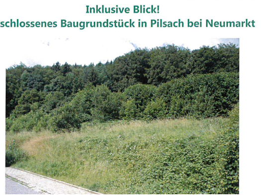 Grundstück zum Kauf provisionsfrei 300.000 € 764 m² Grundstück Erlenweg 19 Pilsach 92367