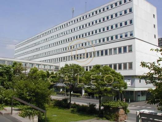 Bürofläche zur Miete provisionsfrei 13,66 € 500 m² Bürofläche teilbar ab 500 m² Biebrich Wiesbaden 65203