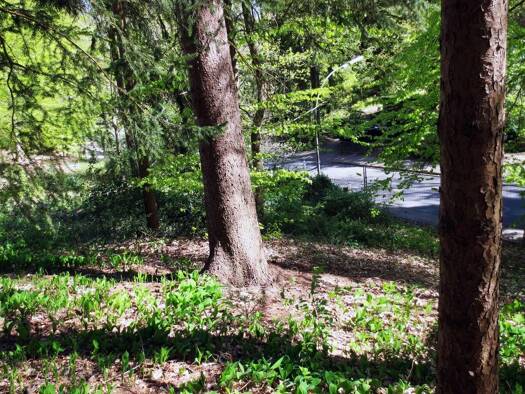 Grundstück zum Kauf 421.200 € 1.080 m² Grundstück Eißendorf Hamburg 21077