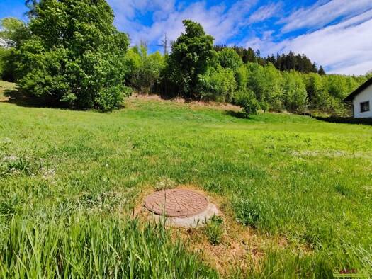 Grundstück zum Kauf 118.000 € 1.202 m² Grundstück Kammern im Liesingtal 8772