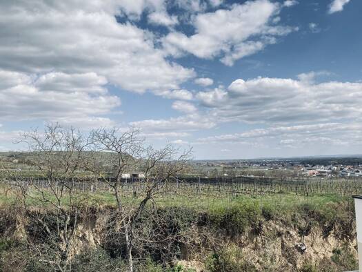 Wohnung zur Miete - Erstbezug 659 € 2 Zimmer 45,2 m² 1. Geschoss Bründlgraben 45A Krems an der Donau 3500