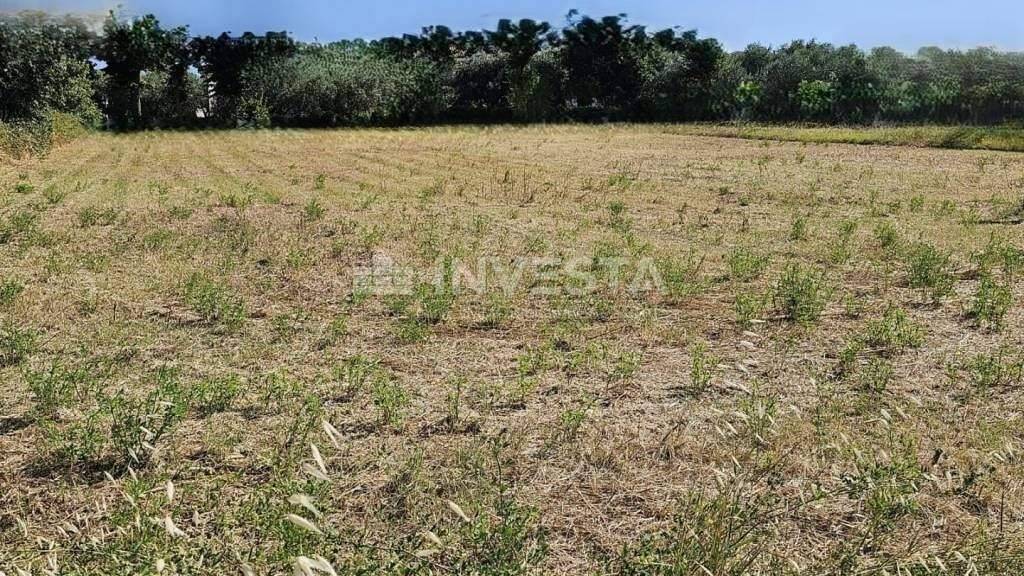 Land-/Forstwirtschaft zum Kauf 169.000 € Vodnjan Vodnjan