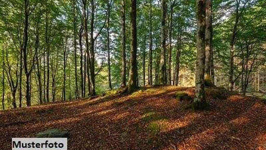 Land-/Forstwirtschaft zum Kauf 257.280 € 720.266 m² Grundstück Kelchsau 6361