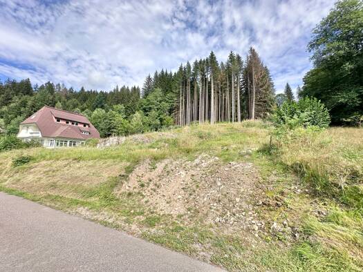 Grundstück zum Kauf 79.000 € 2.091 m² Grundstück Im Hüttlebuck 5a St Blasien St. Blasien 79837