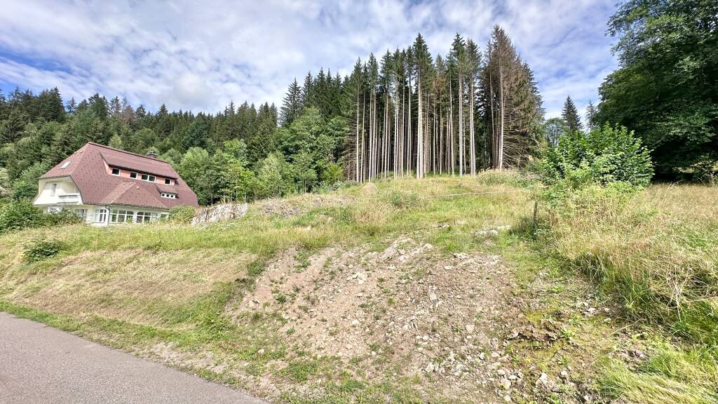 Grundstück zum Kauf 79.000 € 2.091 m² Grundstück Im Hüttlebuck 5a St Blasien St. Blasien 79837