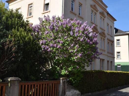 Wohnung zum Kauf 115.200 € 3 Zimmer 58,1 m² 2. Geschoss Martin-Luther-Straße 10 Heidenau 01809