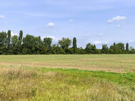 Grundstück zum Kauf provisionsfrei 48.000 € 1.600 m² Grundstück Möglenz Bad Liebenwerda 04931