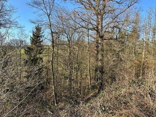 Land-/Forstwirtschaft zum Kauf 3.600 € 3.150 m² Grundstück Oeleroth Ruppichteroth 53809