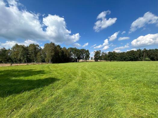 Reiterhof zum Kauf 2.200.000 € 450 m² 106.000 m² Grundstück Bispingen 29646