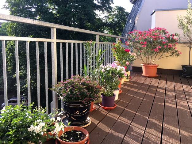 Wohnung zum Kauf 250.000 € 2 Zimmer 72 m² 3. Geschoss frei ab sofort Innenstadt Halle (Saale) 06114