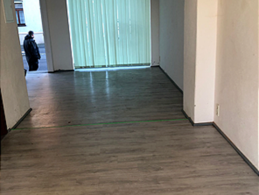 Laden zur Miete provisionsfrei 120 € 1 Zimmer 50 m² Verkaufsfläche Auestraße 51 Glauchau 08371