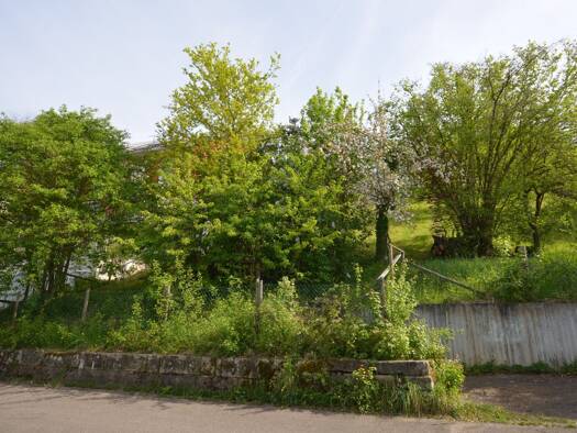 Grundstück zum Kauf 898.000 € 2.200 m² Grundstück Ringelweg Oberesslingen Esslingen am Neckar 73730