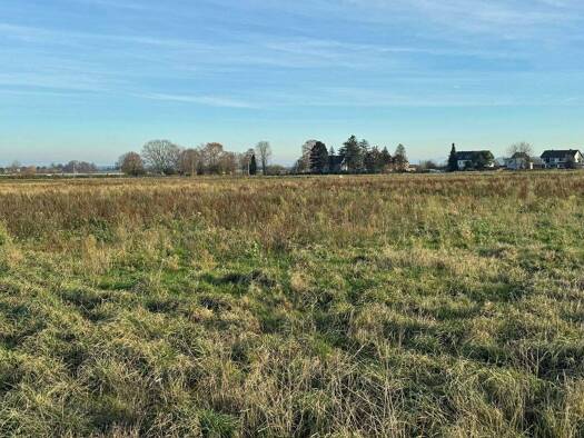 Grundstück zum Kauf 225.000 € 375 m² Grundstück Merten Bornheim 53332