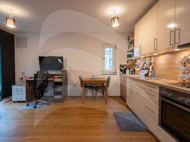 Wohnung zur Miete 495 € 1 Zimmer 32 m² EG Haidenhof-Süd Passau 94036