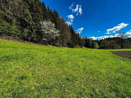 Grundstück zum Kauf 660.000 € 550 m² Grundstück Itter 6305
