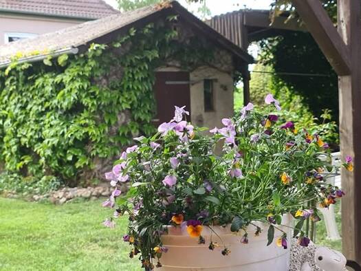 Einfamilienhaus zum Kauf 248.000 € 7 Zimmer 176 m² 1.536 m² Grundstück Süderbrarup 24392