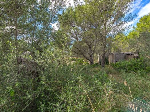 Freizeitgrundstück zum Kauf provisionsfrei 295.000 € 1.005 m² Grundstück Valldemossa 07170