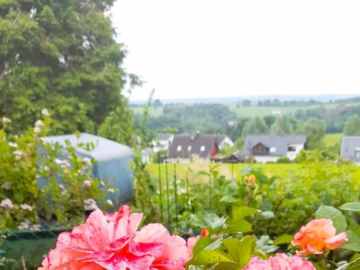 Grundstück zum Kauf 300.000 € 822 m² Grundstück Much 53804