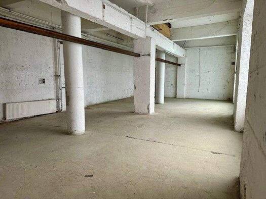 Lagerhalle zur Miete provisionsfrei 1.082 € 160 m² Lagerfläche teilbar ab 40 m² Salzburg 5020