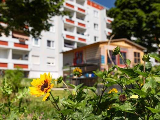 Wohnung zur Miete 749 € 8 Zimmer 132,9 m² 4. Geschoss Hanoier Straße 59 Silberhöhe Halle (Saale) 06132