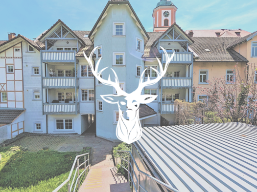 Wohnung zur Miete 950 € 3 Zimmer 85 m² frei ab 01.05.2026 Tiengen Waldshut-Tiengen 79761