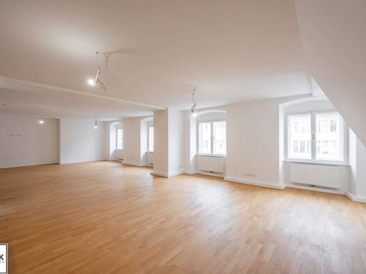 Wohnung zur Miete 3.037 € 3 Zimmer 157 m² Innere Stadt 1010