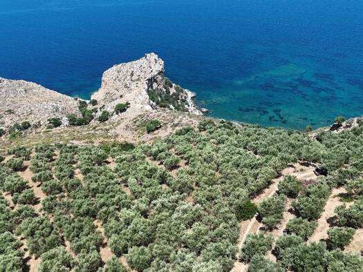 Grundstück zum Kauf 399.000 € 7.251,7 m² Grundstück Kreta Municipality of Platanias 730 06